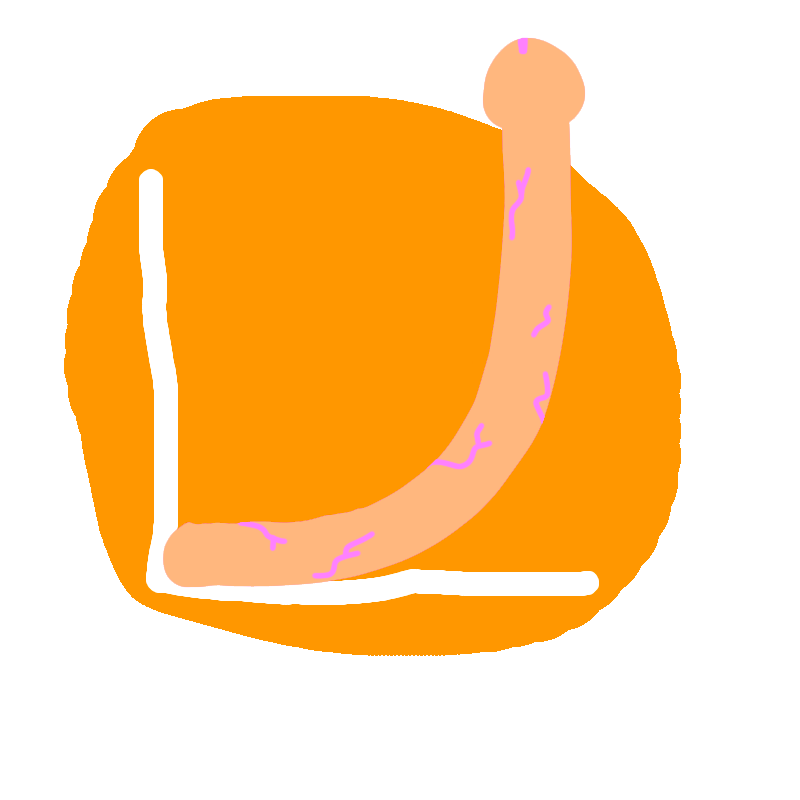 Exponential Erection